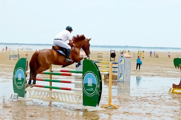 Cheval et son cavalier sautant un obstacle