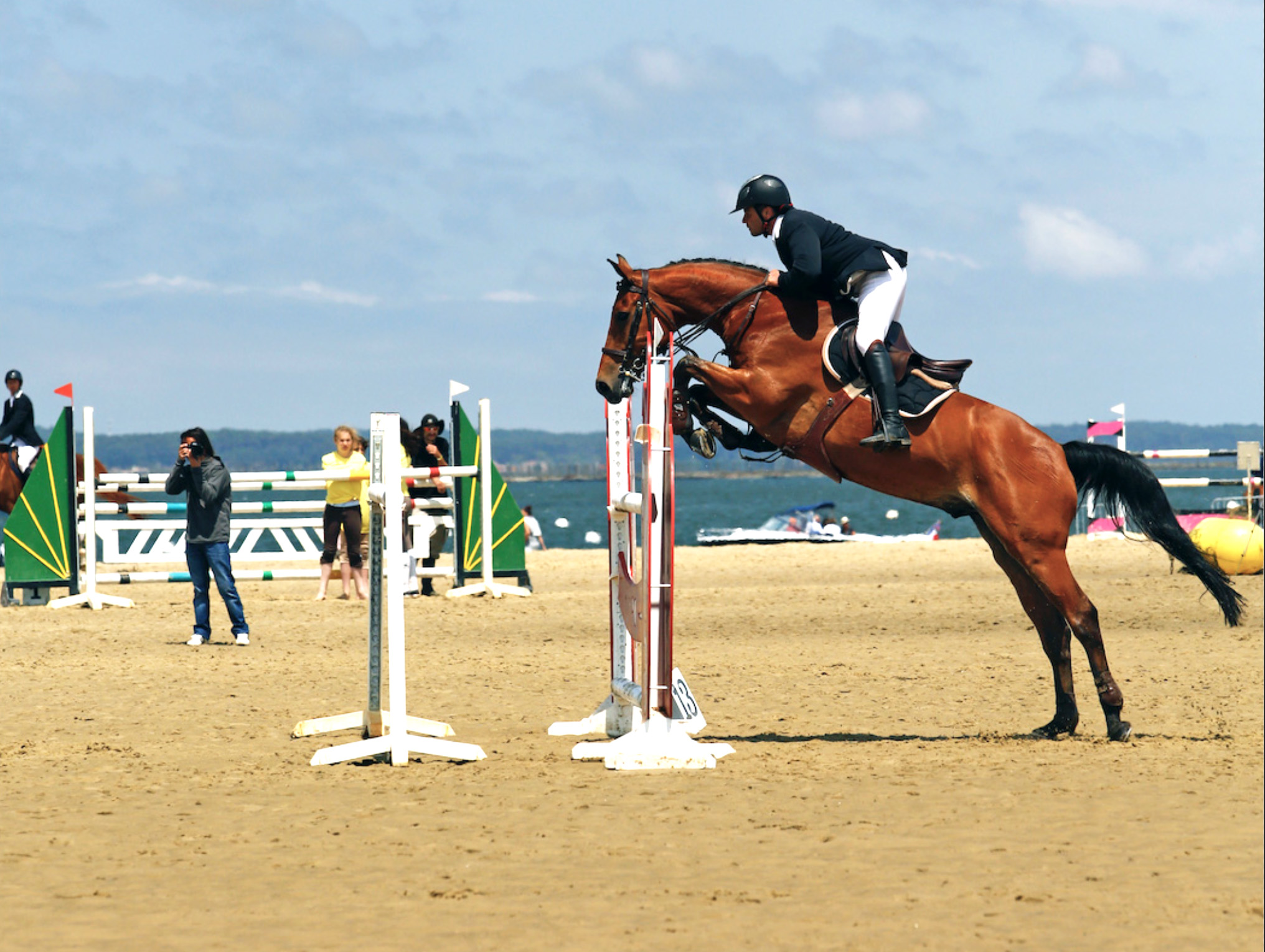 Cheval et son cavalier sautant un obstacle