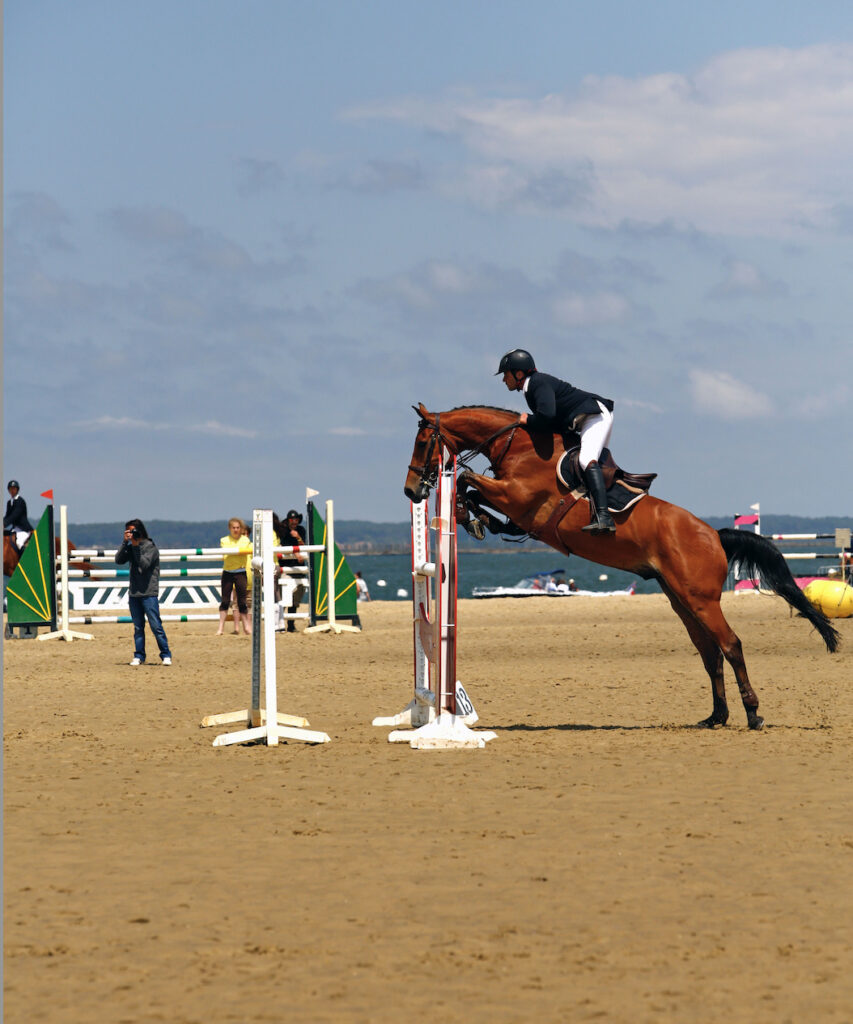 Cheval et son cavalier sautant un obstacle