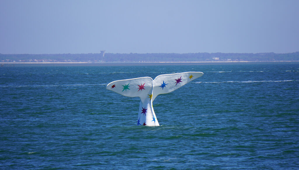Baleine 2026