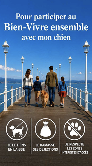Chiens en ville